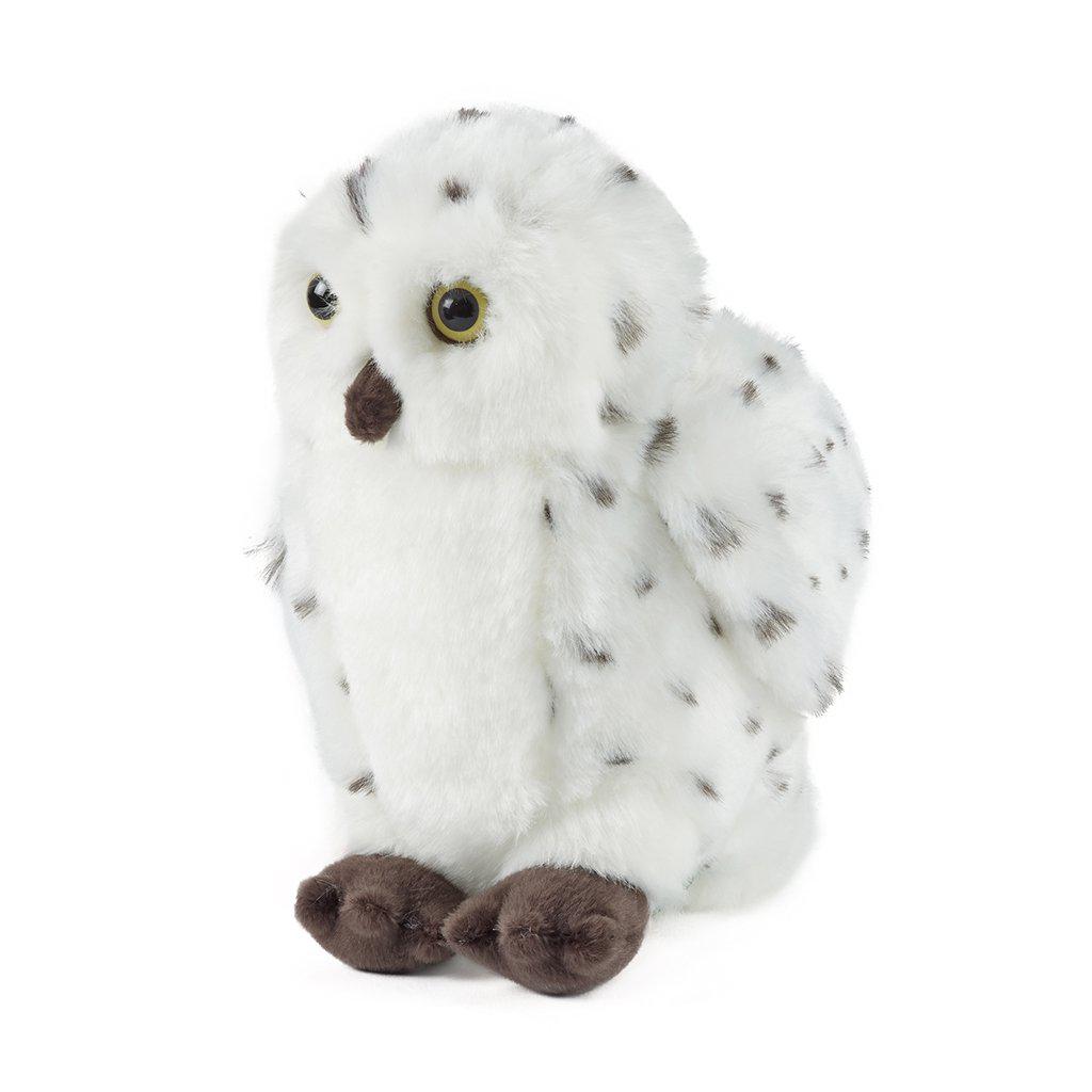 Snowy Owl